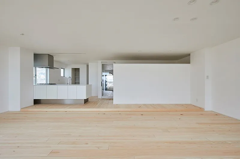 杉板としっくいの家